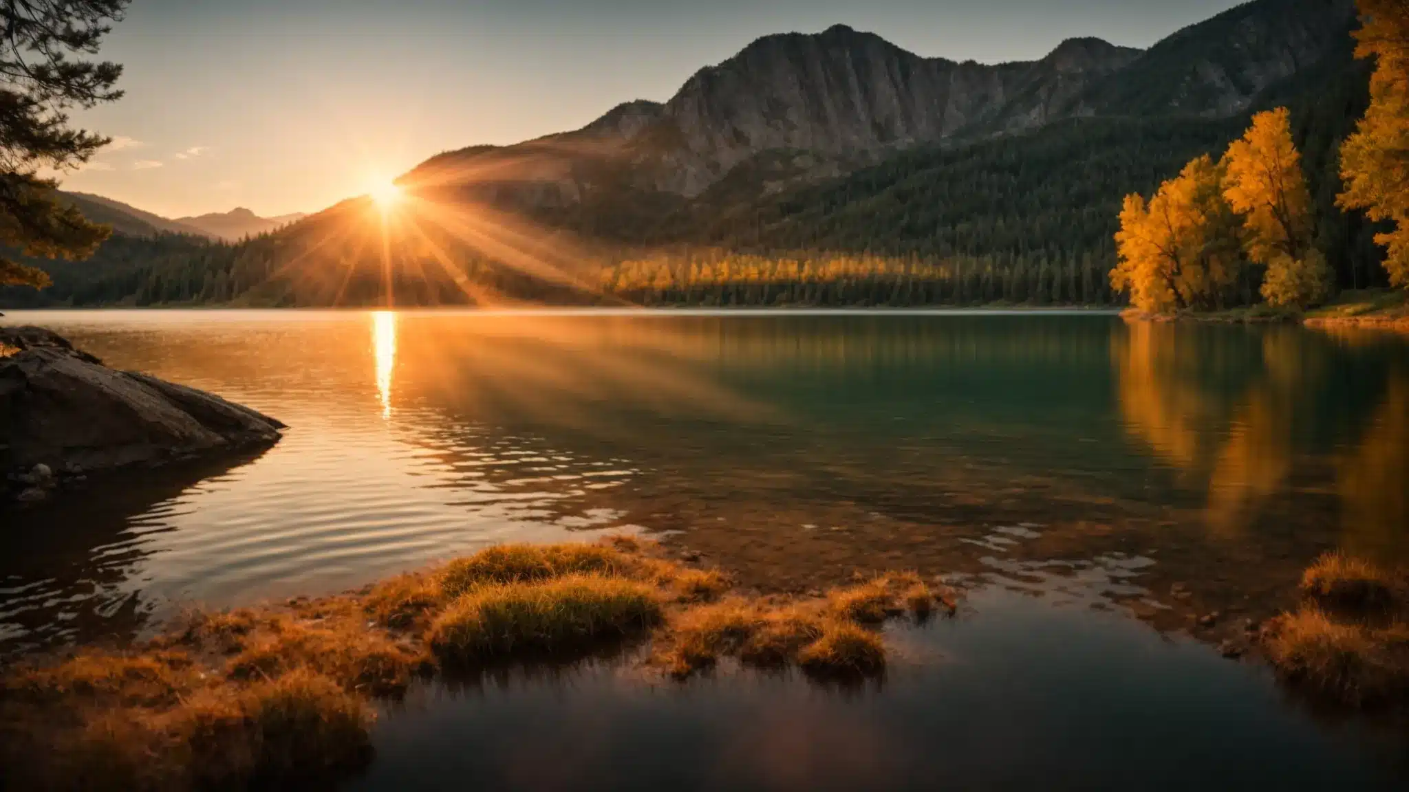 Understanding Water Source Heat Pumps: How They Work – WSHP